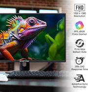 Sceptre 24-inch Prime Monitor Thin 1080p LED Monitor 99% sRGB 2x HDMI VGA Build-in Speakers, Machine Black (E248W-19203R 2025 Series)