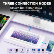 AULA F75 Pro Wireless Mechanical Keyboard,75% Hot Swappable Custom Keyboard with Knob,RGB Backlit,Pre-lubed Reaper Switches,Side Printed PBT Keycaps,2.4GHz/USB-C/BT5.0 Mechanical Gaming Keyboards