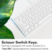 Macally Small USB Wired Keyboard for Mac and Windows - 78 Scissor Keys, 13 Shortcut Compatible Apple Keyboard - Mini Compact USB Computer Keyboard That Saves Space and Looks Great - Space Grey