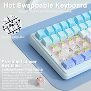 AULA F99 Wireless Mechanical Keyboard,Gasket Structure Hot Swappable Custom Keyboard,RGB Backlit,Creamy Sound,Side Printed PBT Keycaps,2.4GHz/USB-C/BT5.0 Computer Gaming Keyboards
