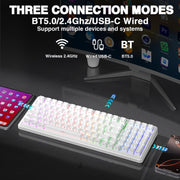 AULA F99 Wireless Mechanical Keyboard,Gasket Structure Hot Swappable Custom Keyboard,RGB Backlit,Creamy Sound,Side Printed PBT Keycaps,2.4GHz/USB-C/BT5.0 Computer Gaming Keyboards